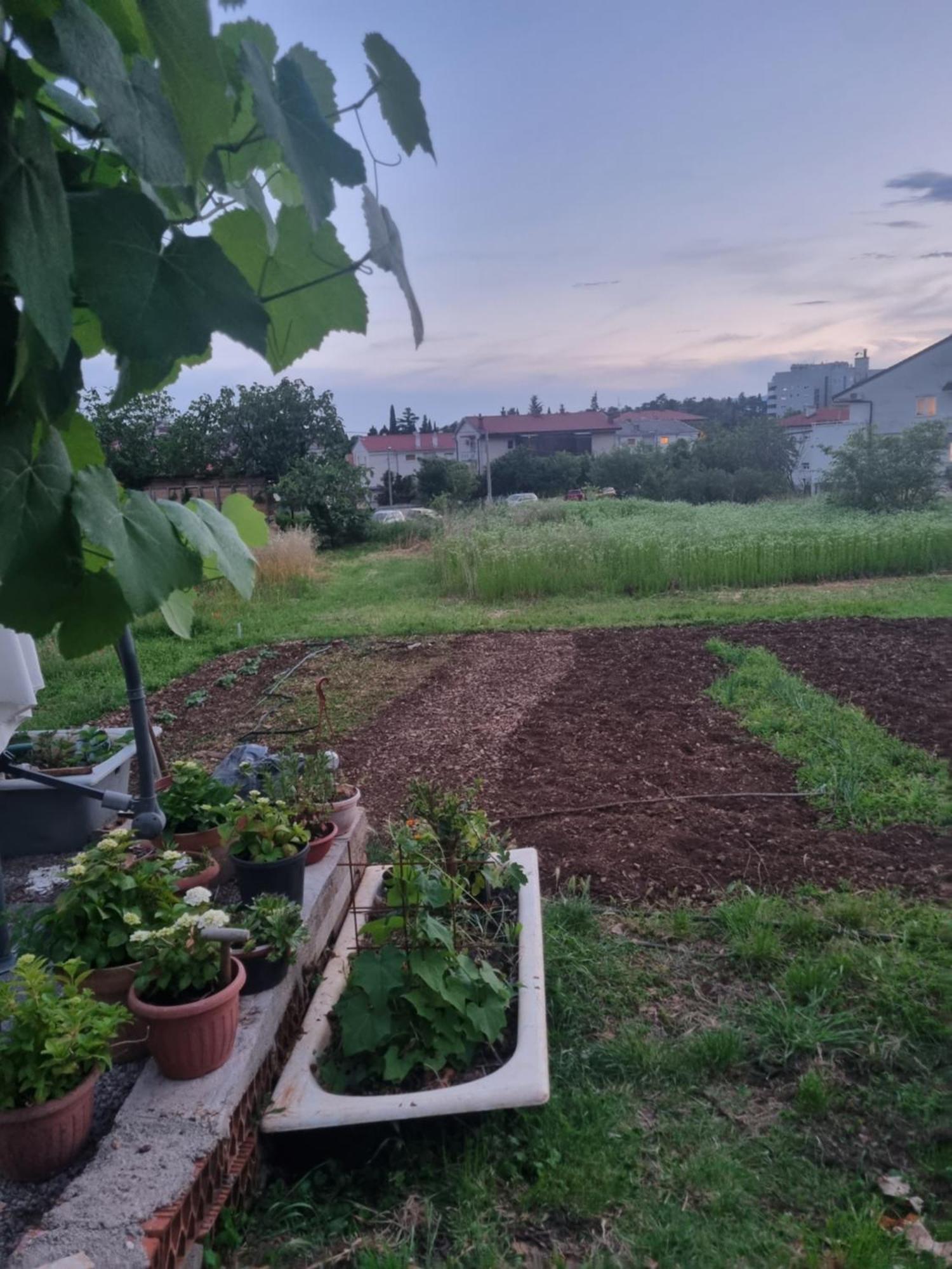 Apartman Dasa Rijeka Eksteriør bilde